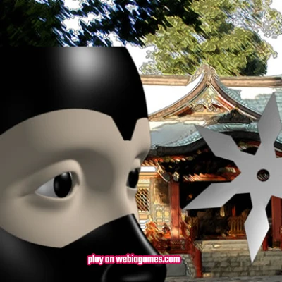 play Ninja Academy on web
