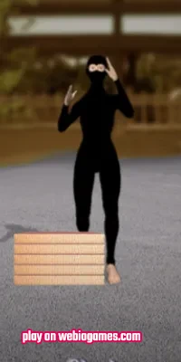 play Ninja Academy on web